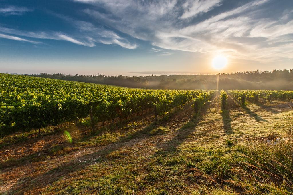 Villa Porticciolo Montepulciano Stazione Esterno foto